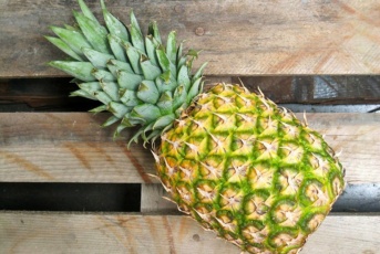 Comment choisir un ananas ?