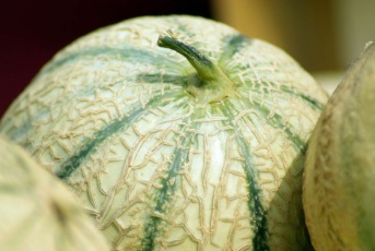 Comment choisir un melon ?