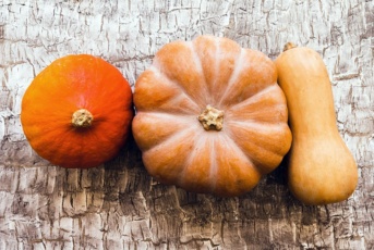 Différence entre potiron, potimarron, citrouille et butternut