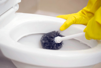 Comment nettoyer les toilettes / WC ?