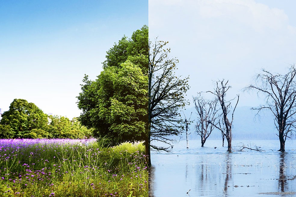 Différence entre météo et climat.