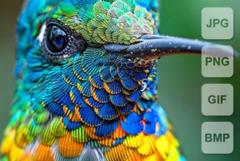 Différence entre JPG, PNG, GIF et BMP